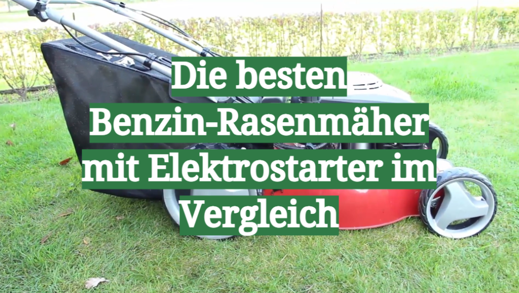 BenzinRasenmäher mit Elektrostarter TestÜberblick November 2024 Die