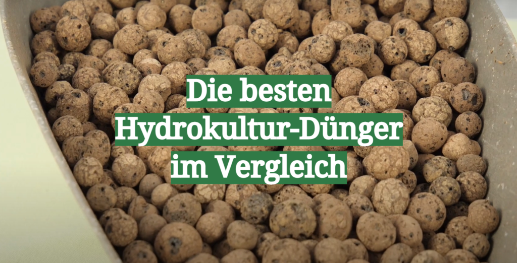 HydrokulturDünger TestÜberblick August 2024 Die besten Hydrokultur